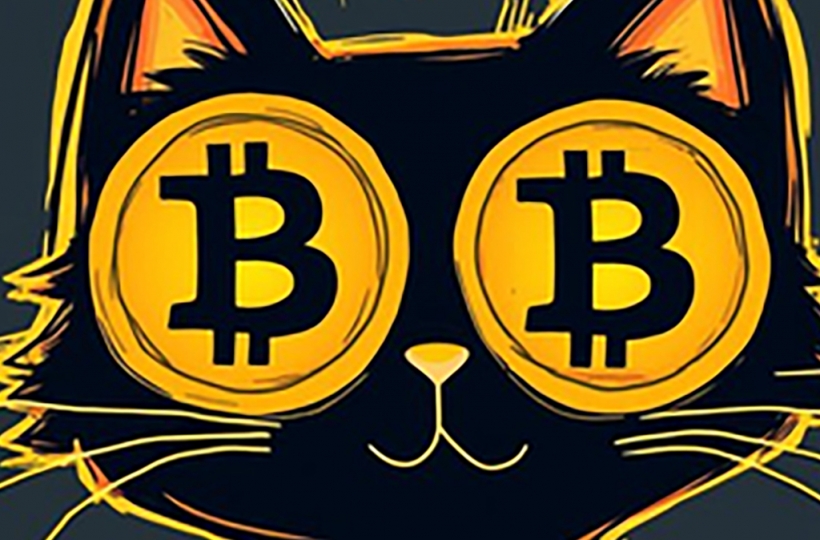 0意App上线首日吸金10万下载量 支持比特币闪电网络支付